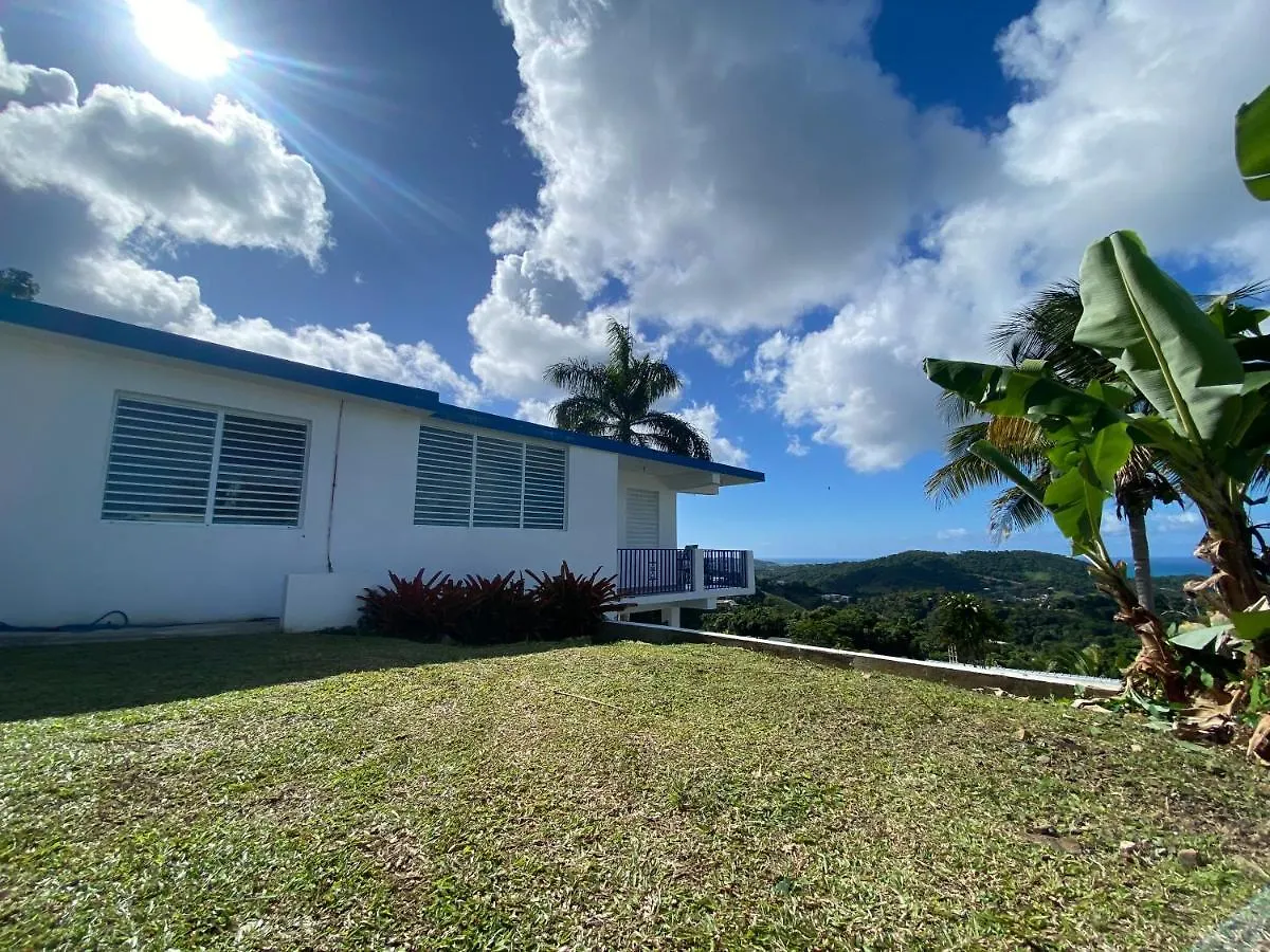 Million Dollar View In Puerto Rico Βίλα Luquillo Lodge